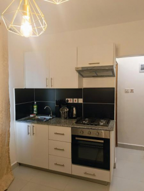 Luxore Furnished Apartment